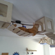 Image for article titled This wall furniture is the coolest thing your cat will see all day